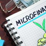 Banking and Economic Development